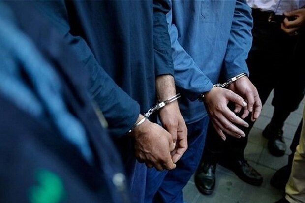 کشف ۱۴ فقره سرقت و دستگیری ۱۰ سارق در شهرستان تویسرکان