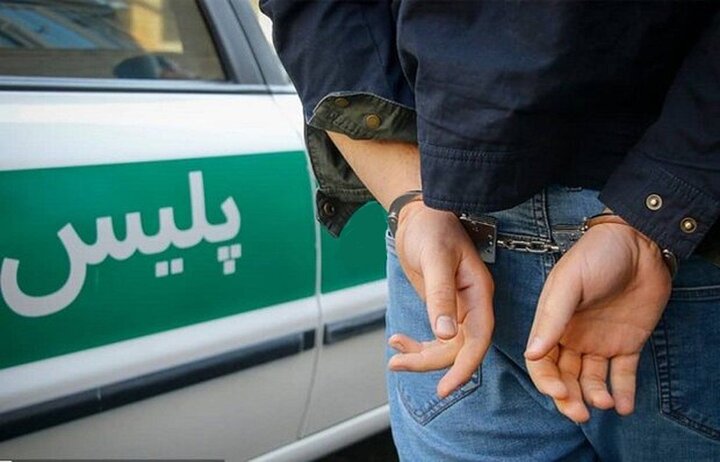 دستگیری ۱۲ سارق در شهرستان تویسرکان
