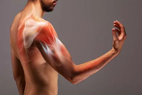 آیا فیزیوتراپی می تواند به بهبودی درد عضلات کمک کند؟
